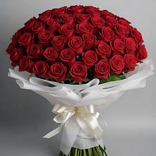 Букет 101 Красная роза Блэк Мэджик в Дивном