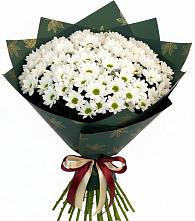 Букет цветов из:  Хризантемы #REPLACE_PRED# Дивном