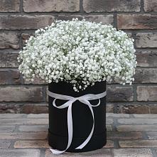 Цветочная композиция из Гипсофила в шляпной коробке #REPLACE_PRED# Дивном