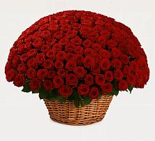 Премиум букет из: Розы #REPLACE_PRED# Дивном